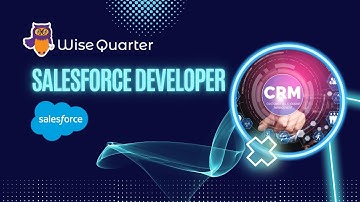 Salesforce Developer  | Wise Quarter