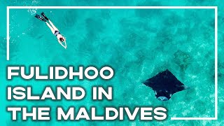 Scuba Diving Fulidhoo Island In The Maldives 🐠 (Maldives Local Island)  | Stoked For Travel