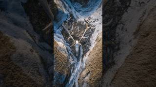 Colossal Elk Skeleton Found Preserved in Arctic Permafrost
