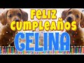 ¡Feliz cumpleaños Celina! (Perros hablando gracioso) ¡Muchas felicidades Celina!