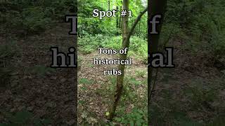 Summer deer scouting a new property w/ AI #hunting #centralnewyork #huntingtechnology