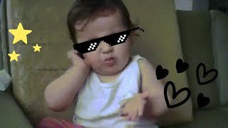 The funniest gifs