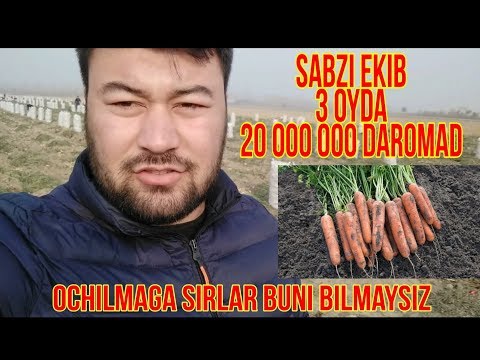 Video: Sabzi Erta Hosilini Kuzda Parvarish Qilish Kerak