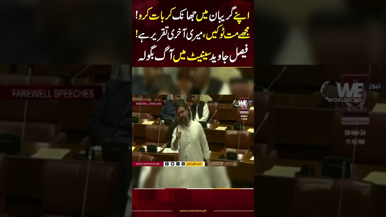 Faisal Javed Last Senate Speech | Bold Statement | We News