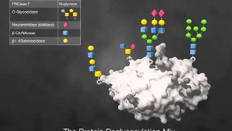 Tools for Glycoprotein Analysis