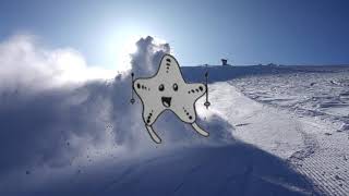 Video thumbnail of "El Pony Pisador - Eustaqui, l'equinoderm esquiador"