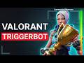 This Valorant Triggerbot Has NO Drivers... SHOWCASE INSANE !!