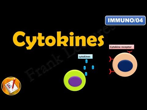 CYTOKINES : ILs, INFs, TNFs, CSFs and Chemokines (FL-Immuno/04)