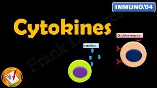 CYTOKINES : ILs, INFs, TNFs, CSFs and Chemokines (FL-Immuno\/04)