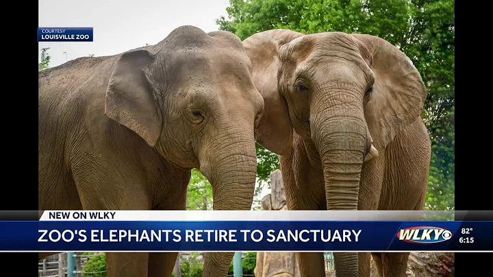 Louisville Zoo's elephants retire to sanctuary in Tennessee