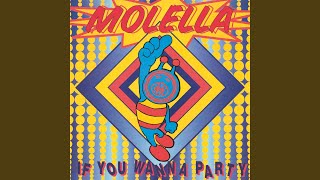 If You Wanna Party (Alex Party Mix)