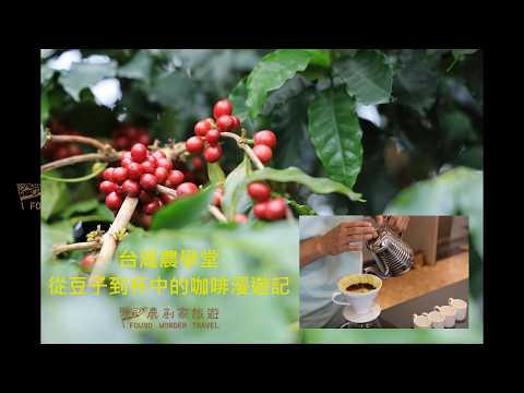 從豆子到杯中的咖啡漫遊記