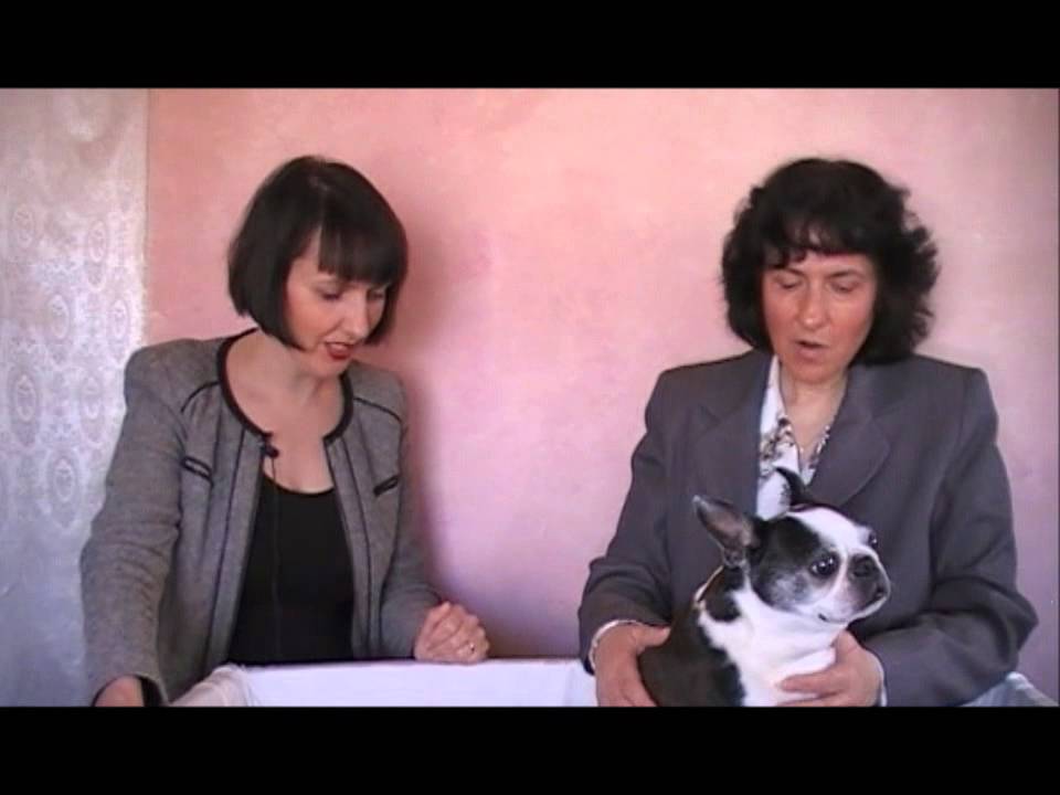 Veterinary Acupuncture With Dr. Lisa Donato