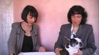 Veterinary Acupuncture With Dr. Lisa Donato