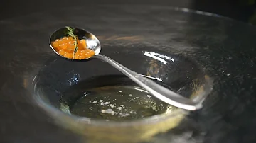 ガストロノミー Mp3
