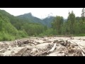 GRIZZLY BEAR HELICOPTER TRANSPORT - Grizzlies Released into Wild