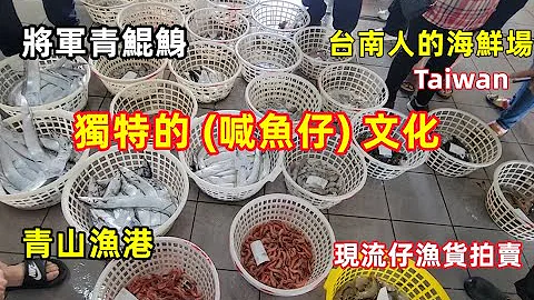 台南人的海鲜场 #将军青山渔港 Taiwan 独特的"喊鱼仔"文化 现流仔渔货拍卖 真热闹【记得开启小铃铛 感谢你的订阅喔】2023 #eating - 天天要闻