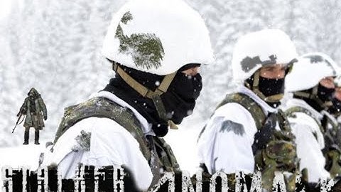 Well i was lucky, they ware on patrol - STALKER ANOMALY