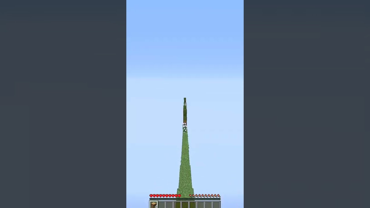 Minecraft But It's 2d 