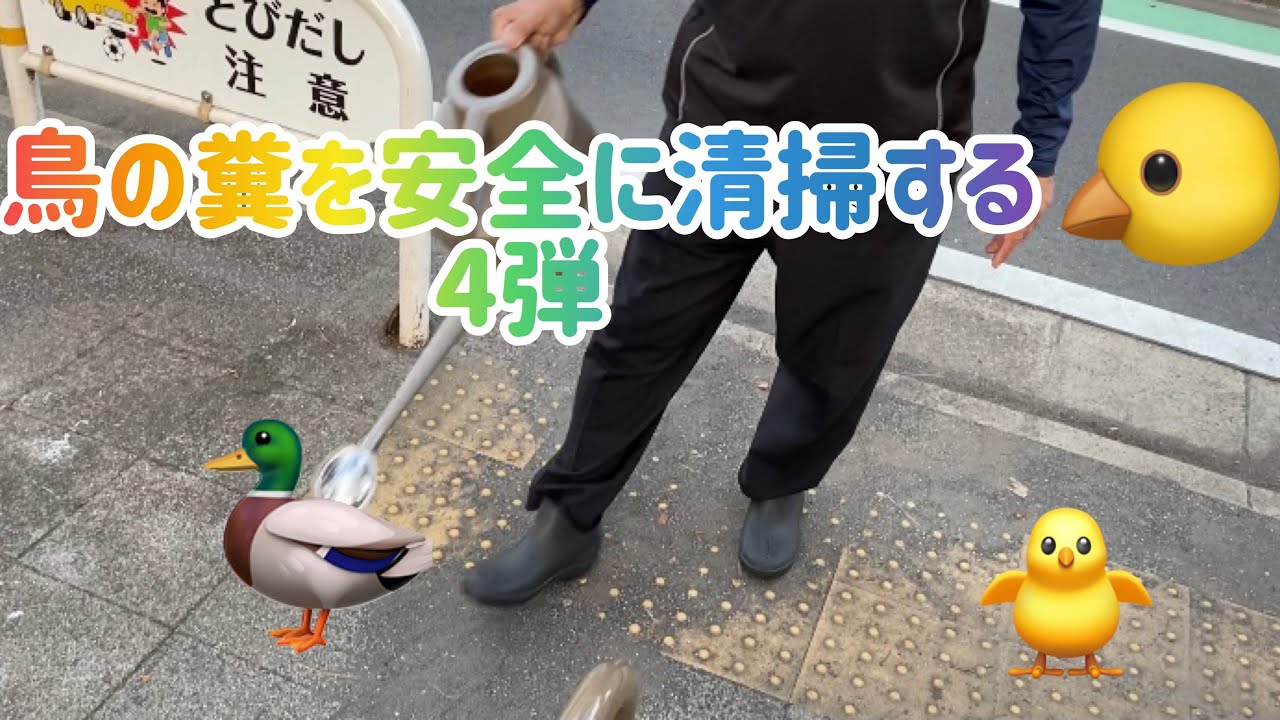 鳥の糞を安全に掃除する4弾 YouTube