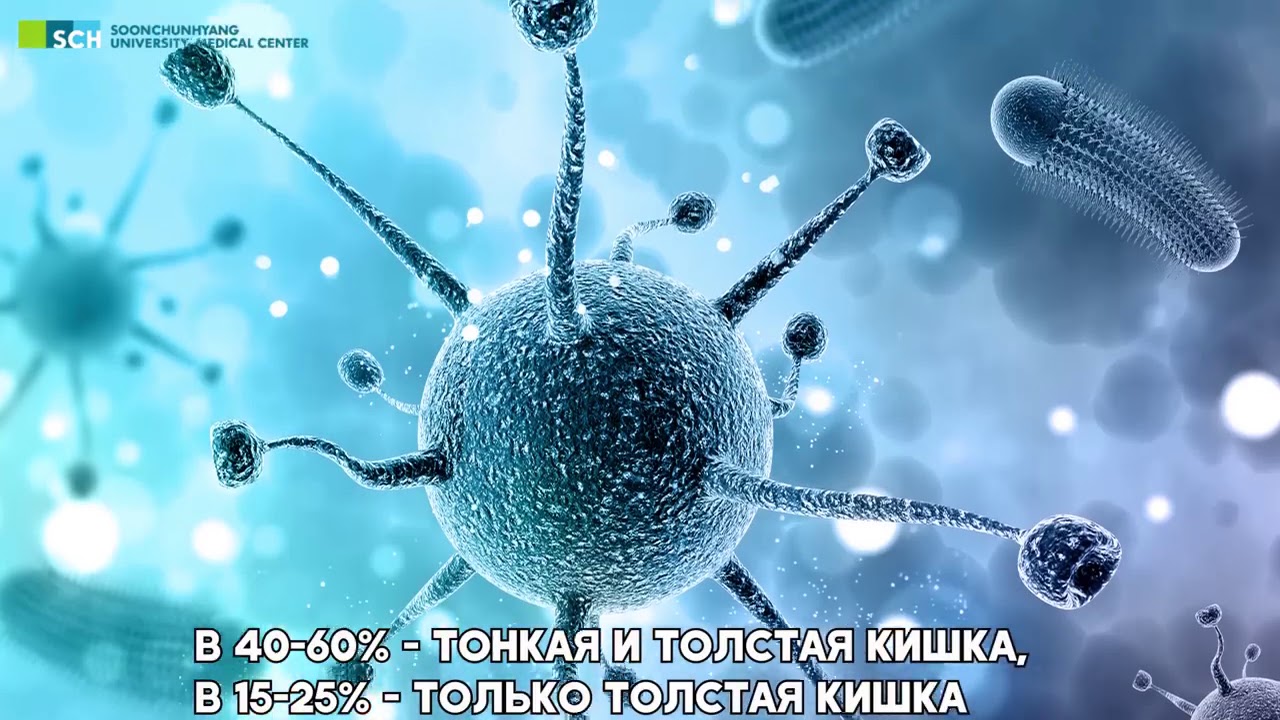 Мерс болезнь в корее