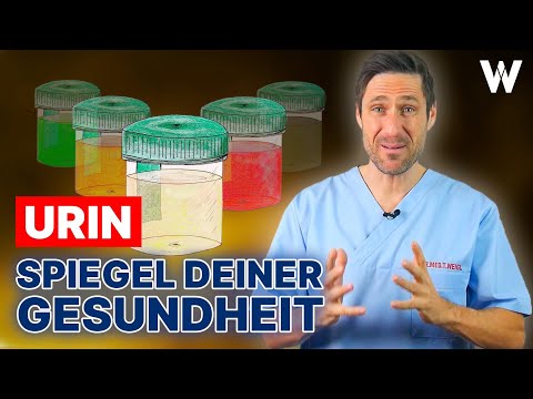 Video: Was ist eine mögliche pathologische Ursache für eine Trübung des Urins?