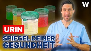 Dein Urin: Was verrät ein komischer, stinkender Urin (Farbe & Geruch) über Deine Gesundheit?