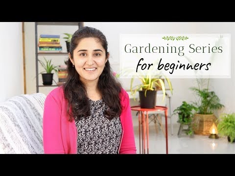 gardening for beginners