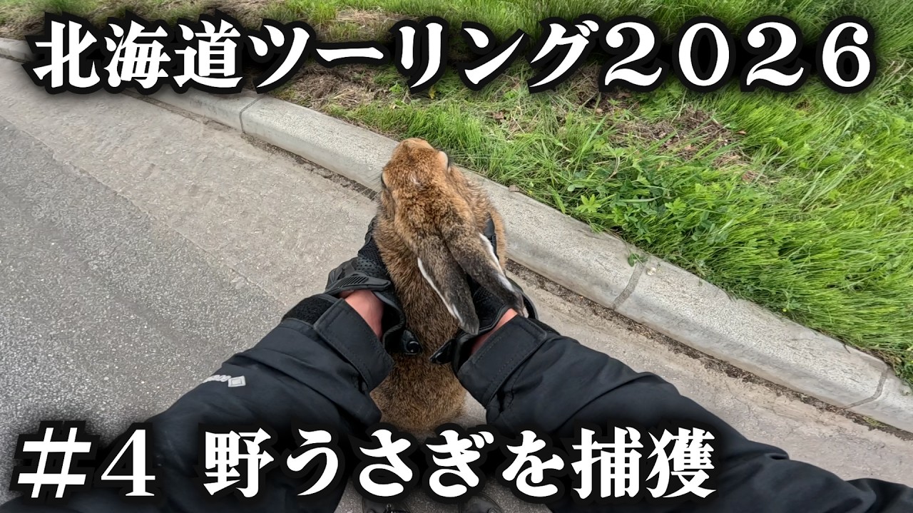 Hokkaido Touring 2026] A Single Man Saves a Wild Rabbit - YouTube