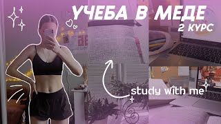 VLOG студента медика| study with me| микра, педагогика, физа, гигиена