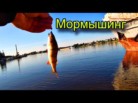 МОРМЫШИНГ НА КАРЬЕРЕ И РЕКЕ | РЫБАЛКА с Black Adder