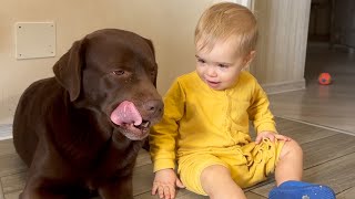 Baby Loves to Talk with His Giant Retriever! So Sweet!