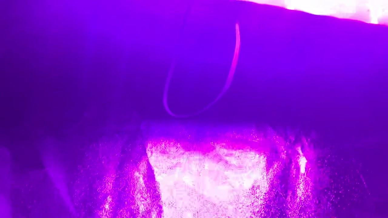 CLOSET GROW DAY 9 | Cannabis Nation GROWING WEED IN 4K