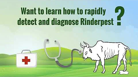 Rinderpest Disease Recognition e-learning - DayDayNews