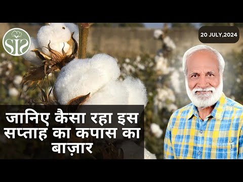 जानिए कैसा रहा इस सप्ताह कपास का बाजार 🤔Weekly Cotton market🤔 #kapas #smartinfo #cotton #bulletin