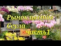 Рынок цветов в Сеуле!!!