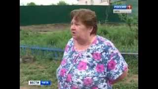 В одном из дворов Читы убили приблудную собаку В одном из дворов Читы убили приблудную собаку