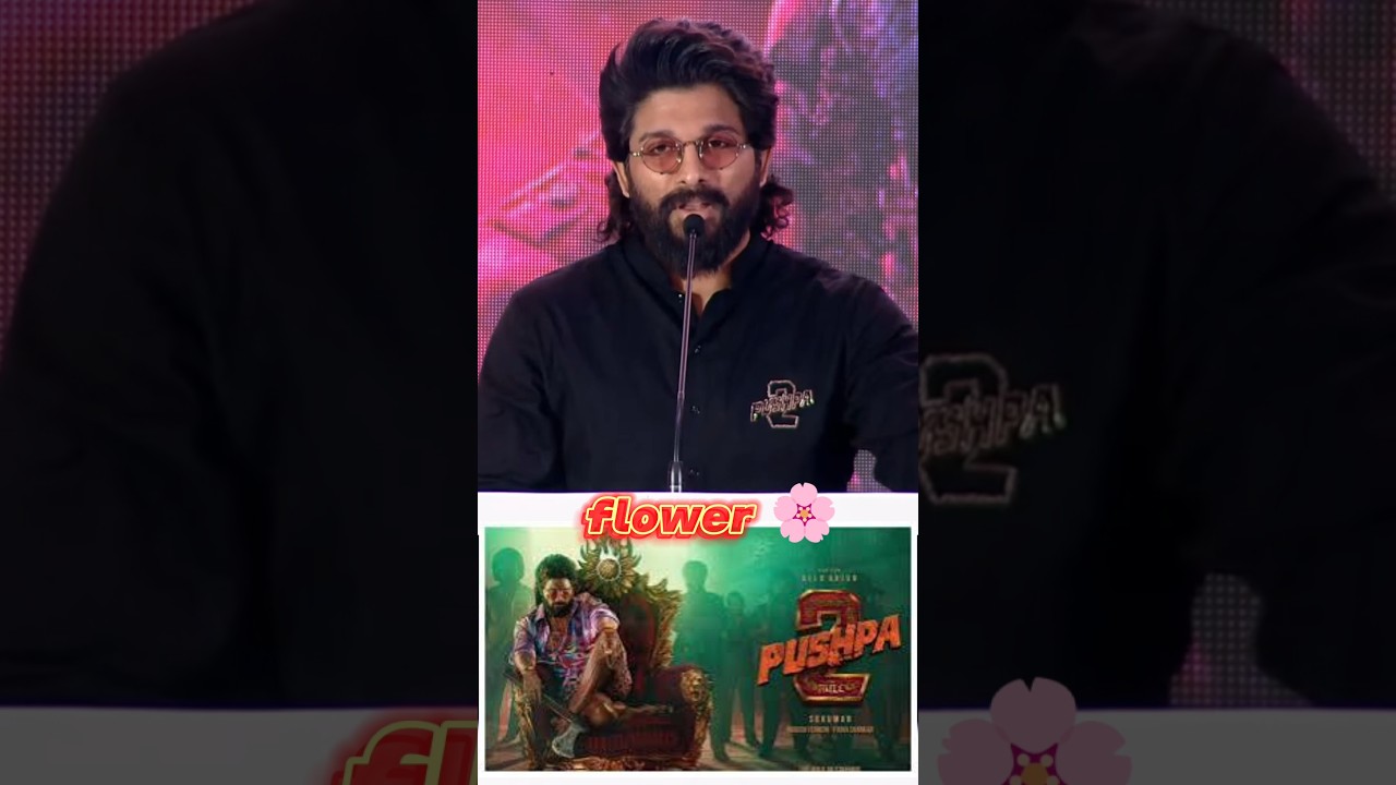 Allu Arjun speech at pushpa 2 success meet