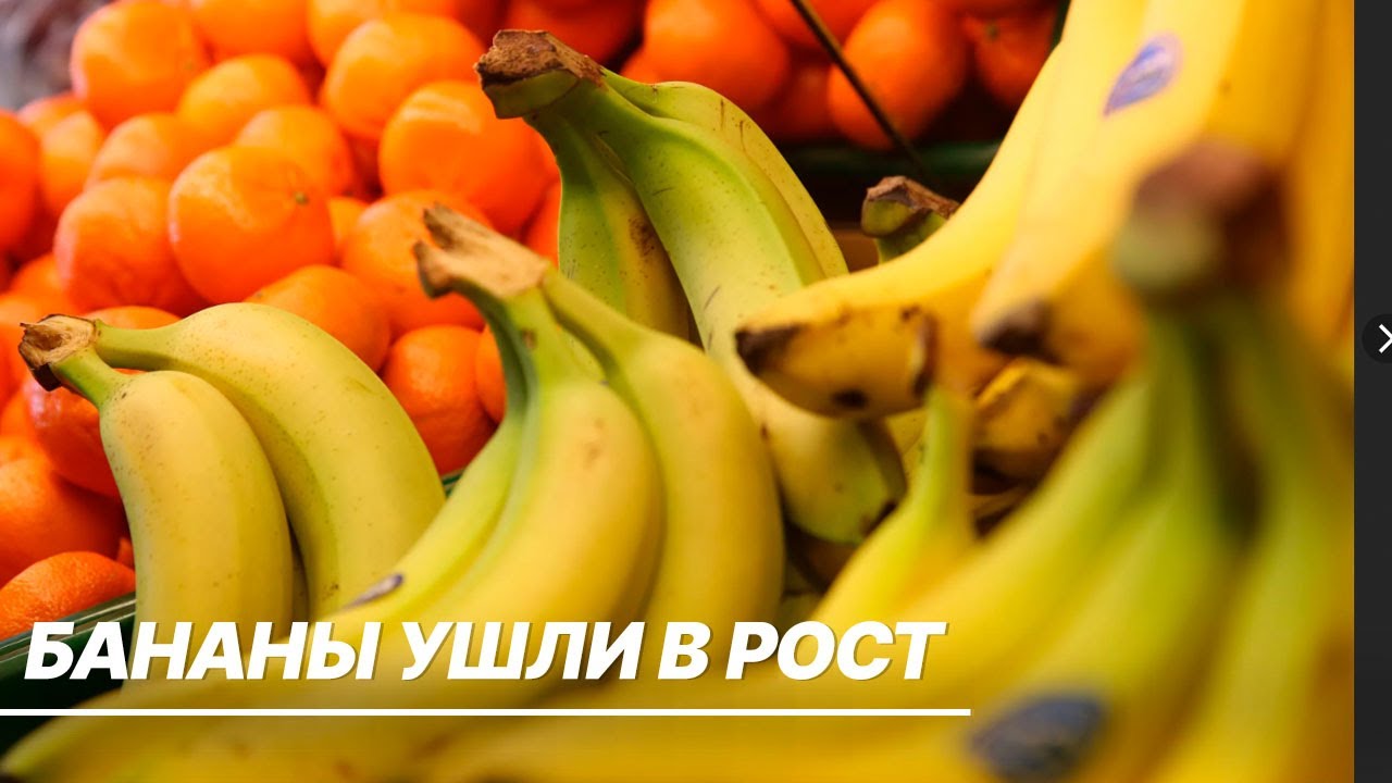 Почему растут цены на фрукты в России?