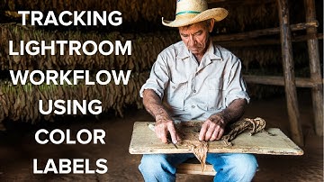 Tracking Workflow with Lightroom Color Labels
