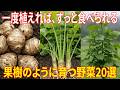 この20種類の野菜は果樹のように育つ！一度植えれば、ずっと食べられる。忘れられた農業の秘密：絶えず増え続ける野菜たち