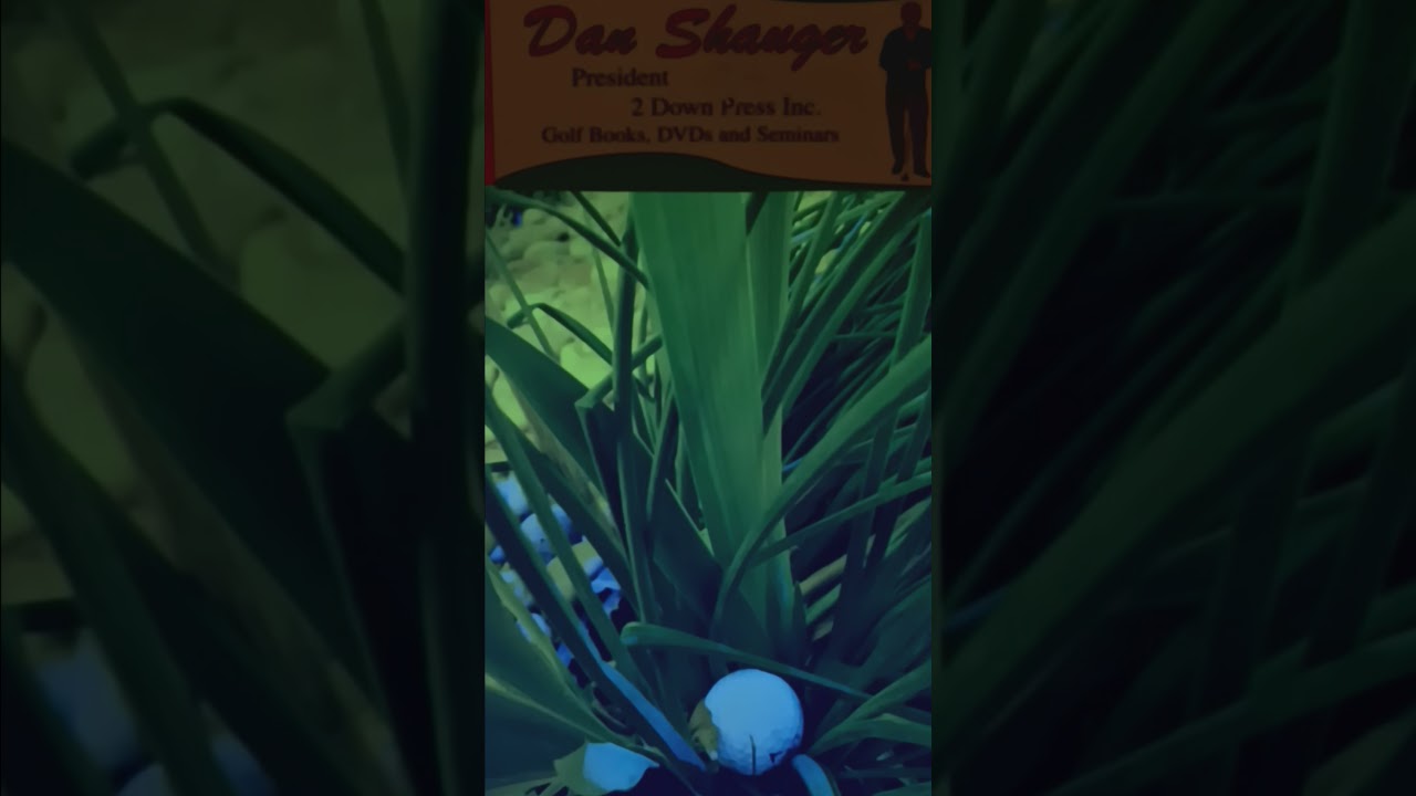 APS: A PERFECT SWING Academy Elaine M Shauger Master w DOWN, UNDER & UP in Whole Golf World 