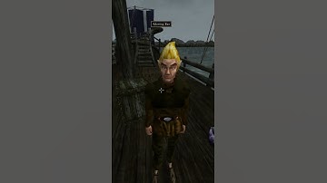 Killing the adoring fan in Morrowind every day until Skywind and Skyblivion are released Day - 179