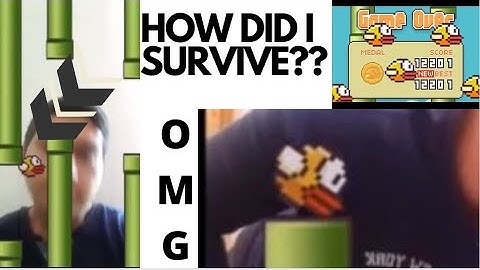 FLAPPY BIRD WITH PUSH UPS!!! QUARANTINE CHALLENGE