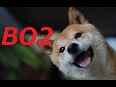 【COD:BO2】スナイパー上手くなってきた