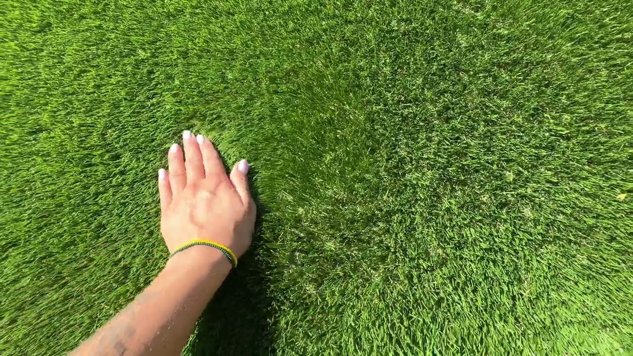 Gazon synthétique ultra-résilient : la solution parfaite pour les zones à fort passage