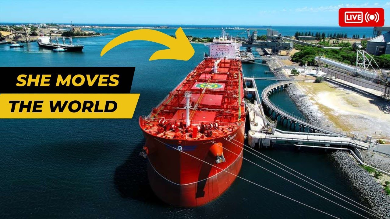 Discover the World of Bulk Carrier Ships: 10 Common Items They Transport
