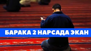 Барака нимада эканлигини биласизми