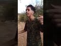 اغنية اويلي ويلي شاله النصيب اغنية اويلي ويلي شاله النصيب