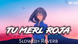 Tu Meri Roja (Slowed + Reverb) | Javed Ali | Kushi | Ms Lofi